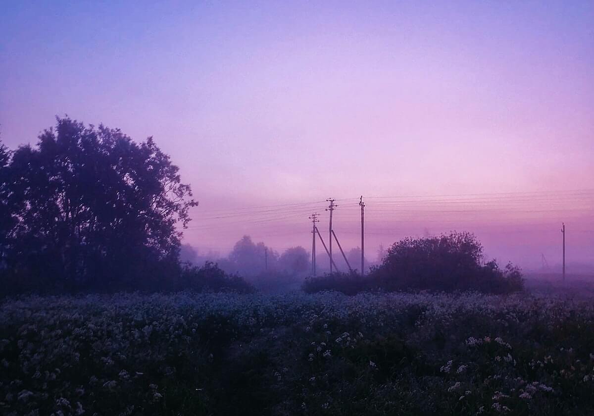 奇异果体育官方网站-5年2.05亿续约!戈贝尔发布亲笔信:我要在这里夺冠